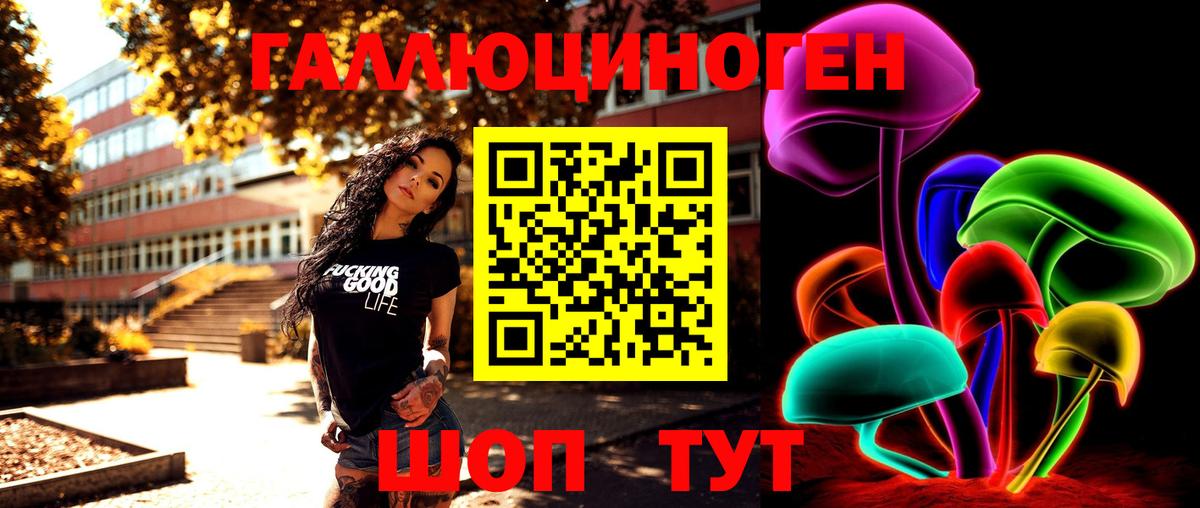 купить наркоту  Галлюциногенные грибы мицелий  Владикавказ  Вход с VPN  Галлюциногенные грибы GOLDEN TEACHER 